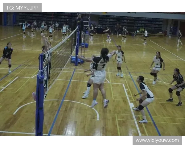 排球盛宴:深入广州排球队揭秘团队协作的力量与魅力