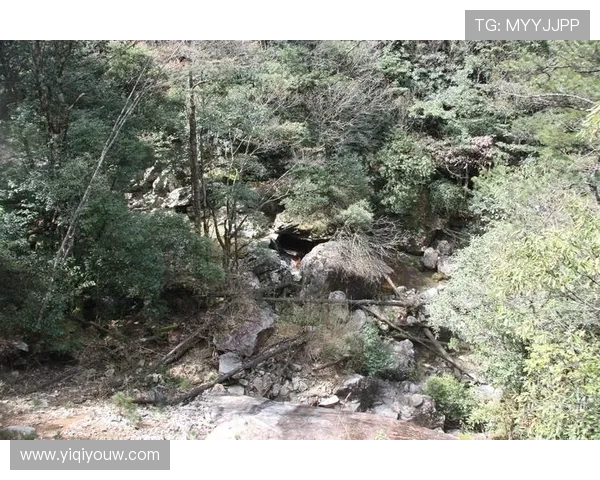 李秀英独家分享攀岩技巧与心得体会助你轻松征服高峰 李秀英独家分享攀岩技巧与心得体会助你轻松征服高峰