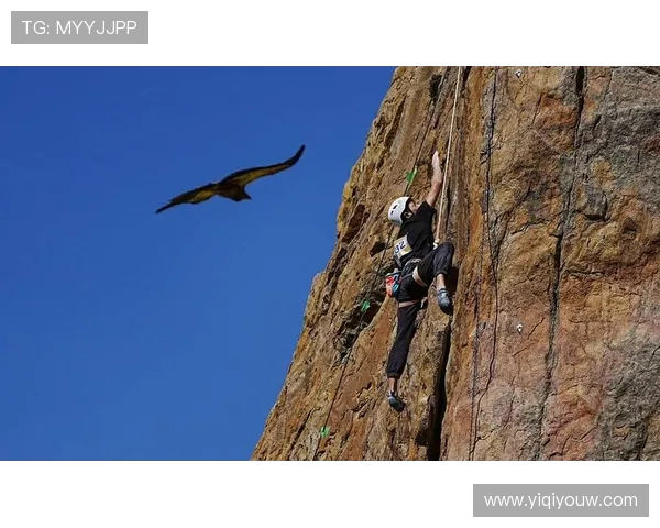 赛后分析：深圳攀岩队与武汉攀岩队的战术意识与团队协作对比