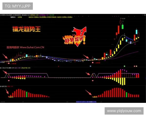 专访张芳揭秘DOTA2成功秘诀与未来发展趋势分析 专访张芳揭秘DOTA2成功秘诀与未来发展趋势分析