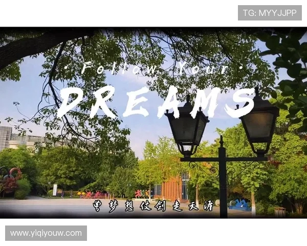 南京极限运动队的拼搏之路与梦想追逐的精彩故事